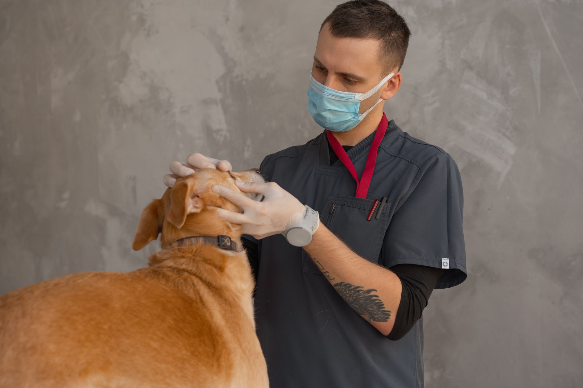 Veterinary Clinic