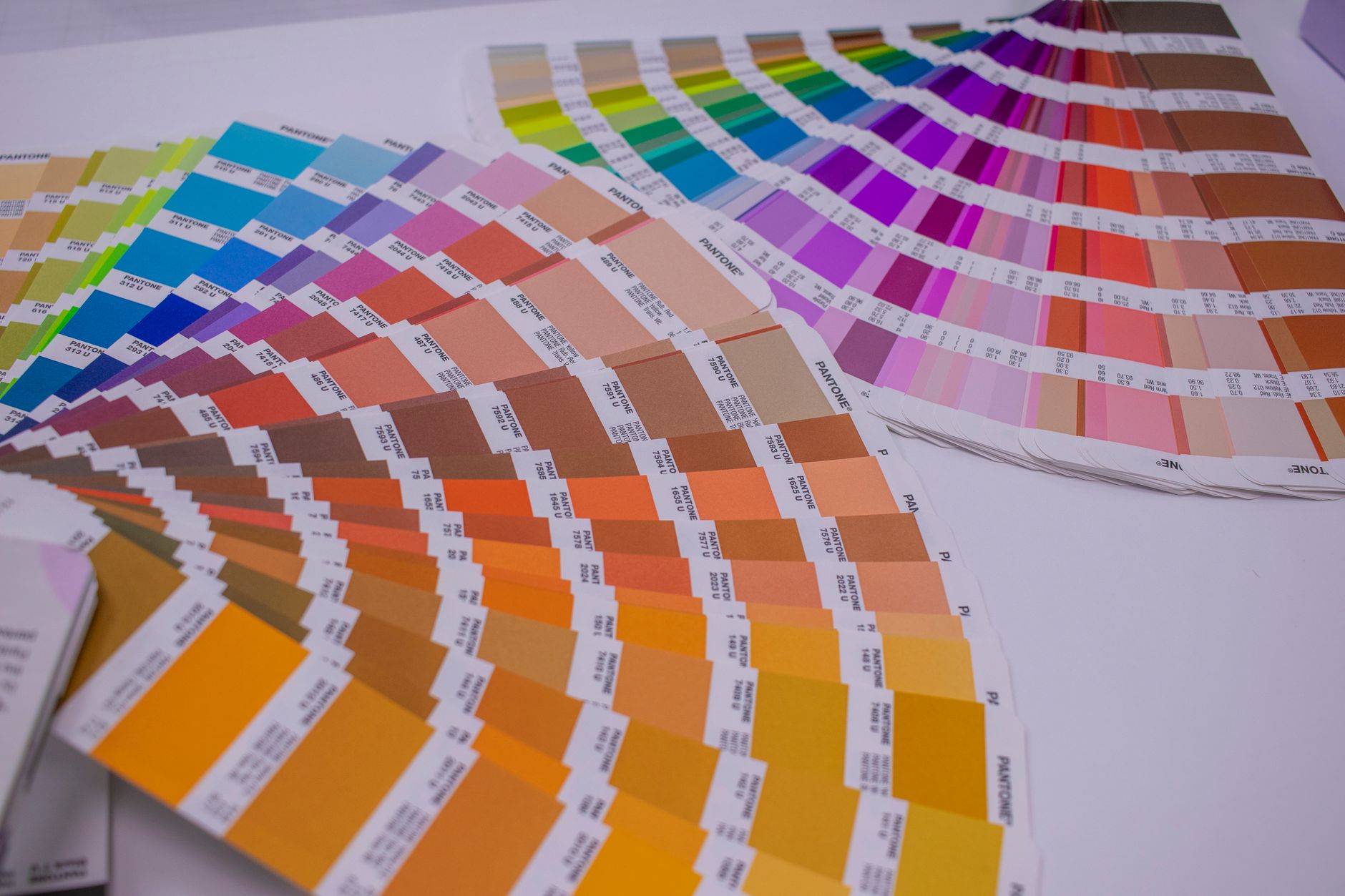 How to Build a Brand Identity: The Ultimate Guide for Business Growth