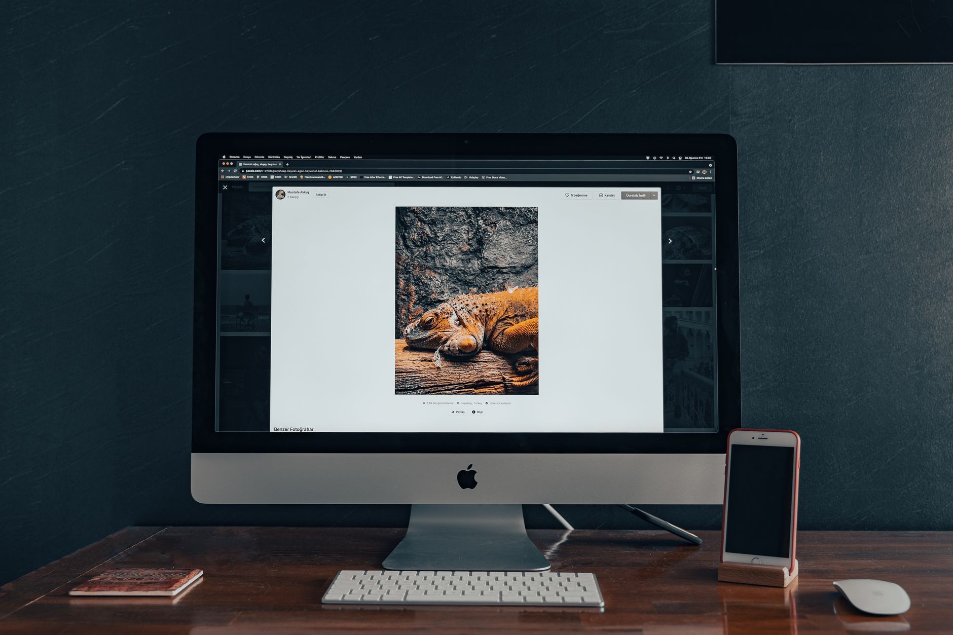 Digital Marketing for Ecommerce